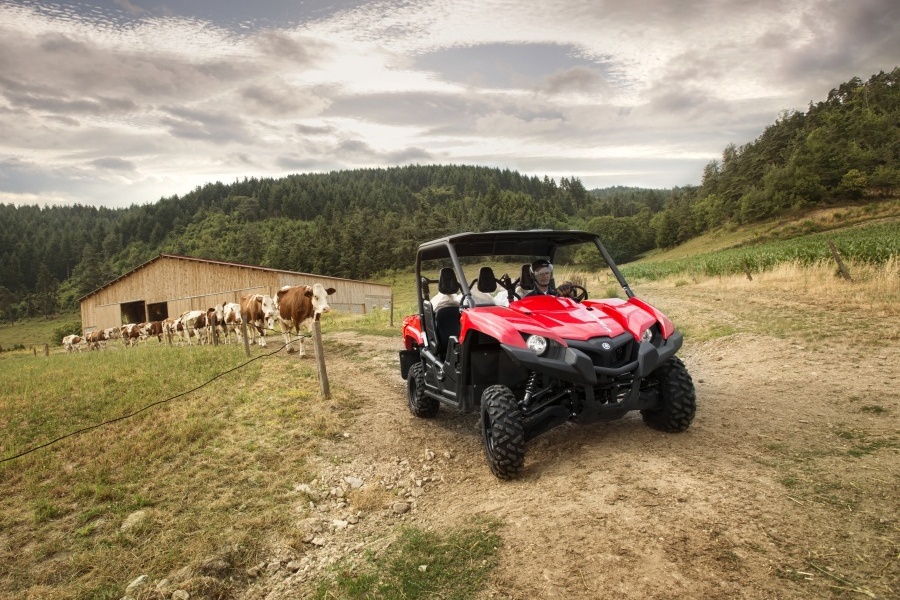 Yamaha-SbS-Cattle